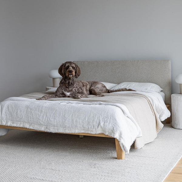 LUNA TOOL FREE BED